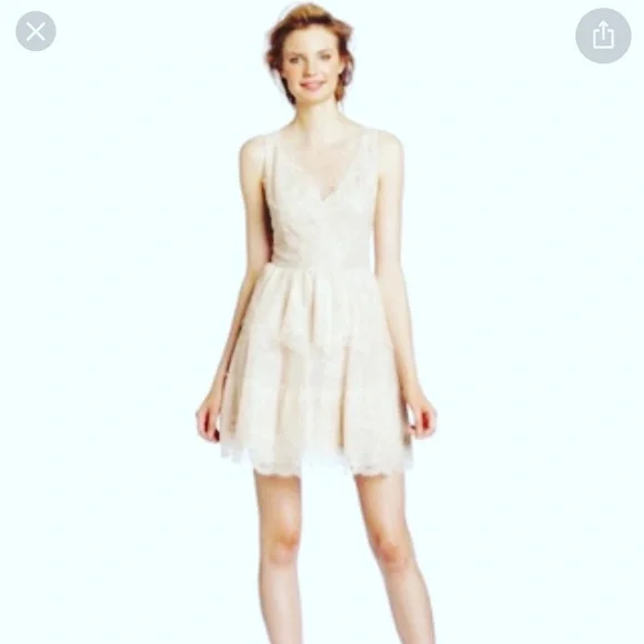 BCBGMaxAzria | Dresses | New Bcbg Maxazria Willa Lace Taupe Beige L | Poshmark BCBGMaxAzria | Dresses | New Bcbg Maxazria Willa Lace Taupe Beige L | Poshmark
